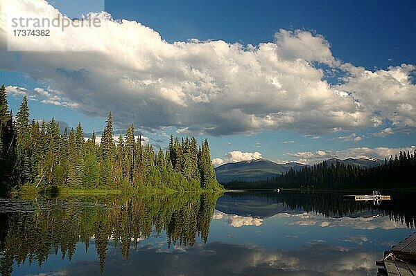 Bäume spiegeln sich im See  La Salle Lakes  British Columbia  Kanada  Nordamerika