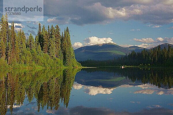 Bäume spiegeln sich im See  La Salle Lakes  British Columbia  Kanada  Nordamerika