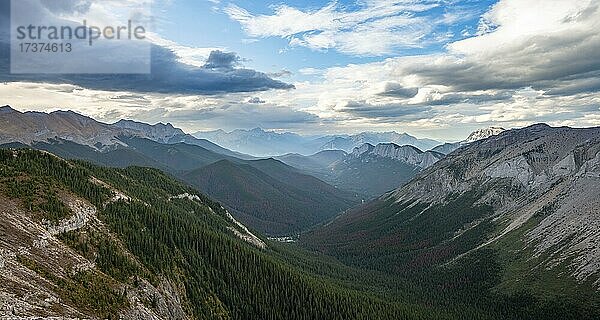 Ausblick in bewaldetes Tal  hinten Berggipfel und Ashlar Ridge  Sulphur Skyline Trail  Jasper Nationalpark  Alberta  Kanada  Nordamerika