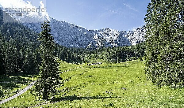 Almwiese der Wettersteinalm  hinten feslige Berggipfel der östlichen und westlichen Törlspitzen und Wettersteinwand  Schachentorsteig  Wettersteingebirge  Garmisch Partenkirchen  Bayern  Deutschland  Europa