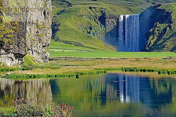 Wasserfall spiegelt sich in einem Gewässer  Skogafoss  Südisland  Island  Europa