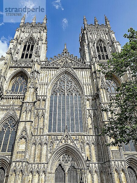 Kathedrale im gotischen Stil  York Minster  Westfassade  York  Yorkshire  England  Großbritannien  Europa