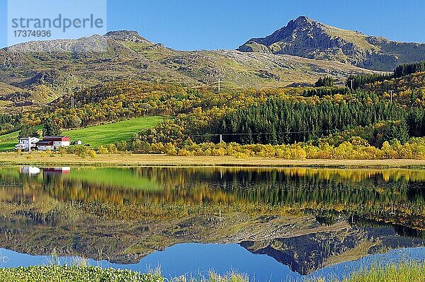 Ruhige Herbstlandschaft  See mit Spiegelung  Vestvågøy  Lofoten  Nordland  Norwegen  Europa