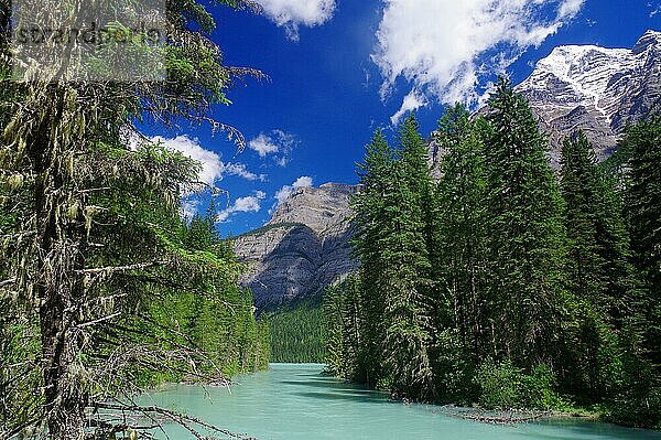 Gletscherfluss mit hohen Bergen im Hintergrund  Kenny River  Mount Robson  British Columbia  Kanada  Nordamerika