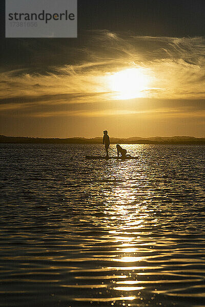 Mutter und Sohn paddeln auf dem ruhigen Meer bei Sonnenuntergang  Victoria  Australien