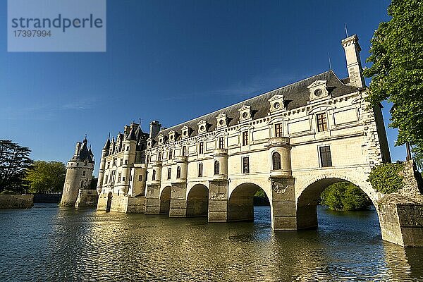 Schloss Chenonceau über dem Fluss Cher  Loiretal  Departement Indre et loire  Centre-Val de Loire  Frankreich  Europa