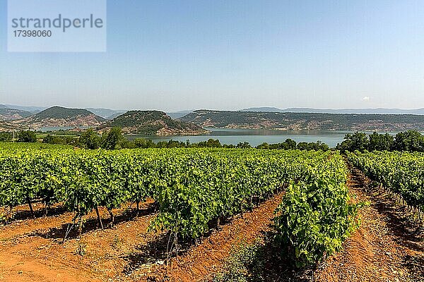 Blick auf den Lac du Salagou  Departement Herault  Okzitanien  Frankreich  Europa