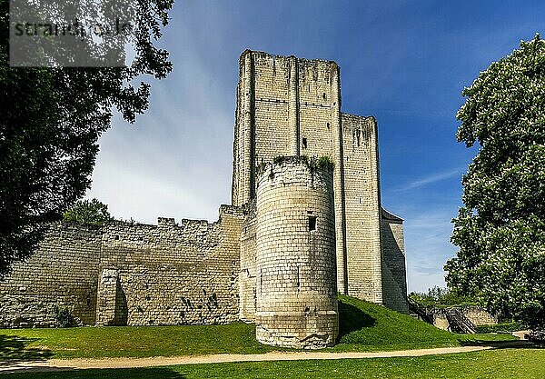 Mittelalterlicher Donjon-Turm des Schlosses der Stadt Loches  Departement Indre-et-Loire  Centre Val de Loire  Frankreich  Europa