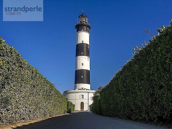 Der Leuchtturm von Chassiron bei Saint Denis d'Oleron  Insel Oleron  Departement Charente Maritime  Nouvelle-Aquitaine  Frankreich  Europa