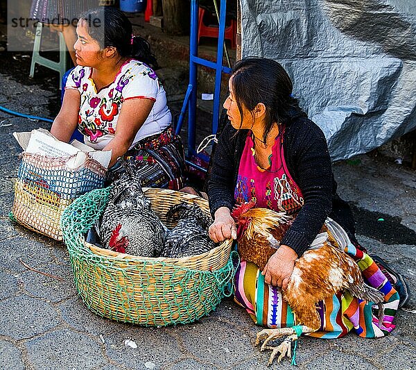 Geflügelmarkt  wichtigster Markt im Hochland  Chichicastenango  Chichicastenango  Guatemala  Mittelamerika