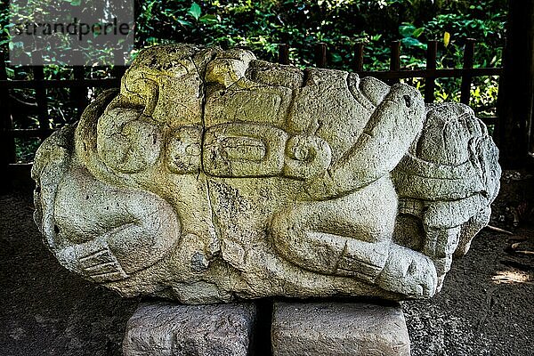 Altar  Zoomorph N  schildkrötenartige Form  Quirigua  präkolumbische Mayastadt  Quirigua  Izabal  Guatemala  Mittelamerika