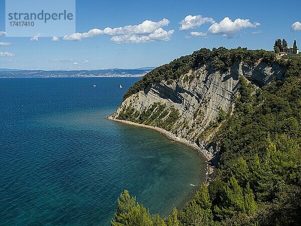 Ausblick auf die Klippen von Strunjan und die Moon Bay  hinten Bucht von Triest  Strunjan  Adriaküste  Istrien  Slowenien  Europa