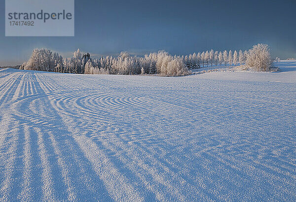Winterlandschaft  Muster von Hügeln auf einem schneebedeckten gepflügten Feld