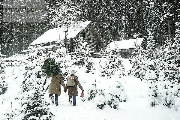 Mann trägt Baum  während er mit Frau im Schnee spaziert