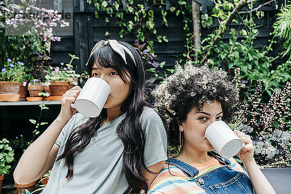 Freunde trinken gemeinsam Kaffee im Hinterhof