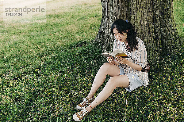 Junge Frau liest Buch  während sie unter einem Baum im Park sitzt