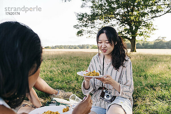 Freunde essen beim Picknick im Park