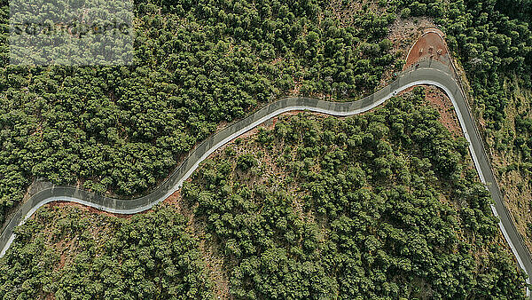 Luftaufnahme einer kurvenreichen Straße  die sich durch die bewaldete Landschaft der Pyrenäen erstreckt