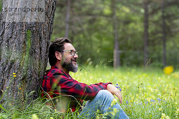 Reifer Mann denkt nach  während er im Wald sitzt