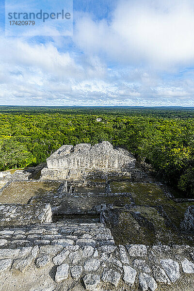 Mexiko  Campeche  grüner Regenwald von den antiken Maya-Ruinen von Calakmul aus gesehen