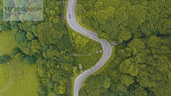 Luftpanorama einer Landstraße  die sich durch grüne Waldlandschaft schlängelt