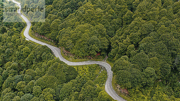 Luftpanorama einer Landstraße  die sich durch grüne Waldlandschaft schlängelt