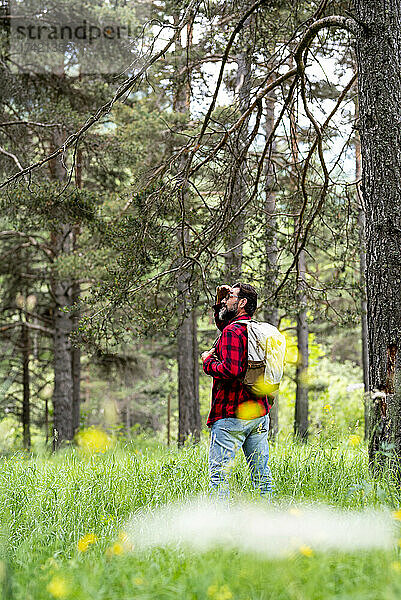 Reifer Mann blickt auf die Aussicht  während er im Wald steht