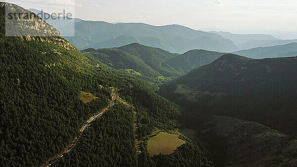 Drohnenansicht eines bewaldeten Tals in den Pyrenäen