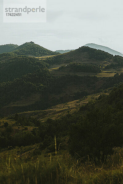 Blick auf die bewaldete Landschaft in den Pyrenäen