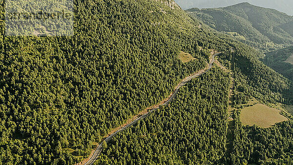 Luftaufnahme einer Landstraße  die sich durch die bewaldete Landschaft der Pyrenäen erstreckt