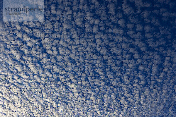 Wolkenlandschaft aus Altocumuluswolken in der Abenddämmerung
