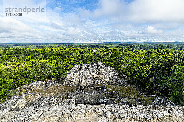 Mexiko  Campeche  grüner Regenwald von den antiken Maya-Ruinen von Calakmul aus gesehen