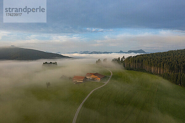 Drohnenansicht der Landschaft  eingehüllt in dicken Morgennebel