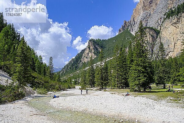 Bach an der Capanna Alpina  Valparola Pass  Naturpark Fanes Sennes Prags  Gadertal  Abtei  Ladinien  Dolomiten  Südtirol  Italien  Europa