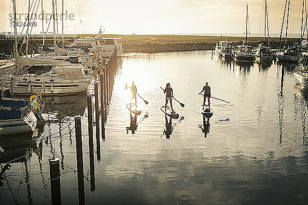 Männliche und weibliche Freunde Paddleboarding im Meer am Hafen bei Sonnenuntergang