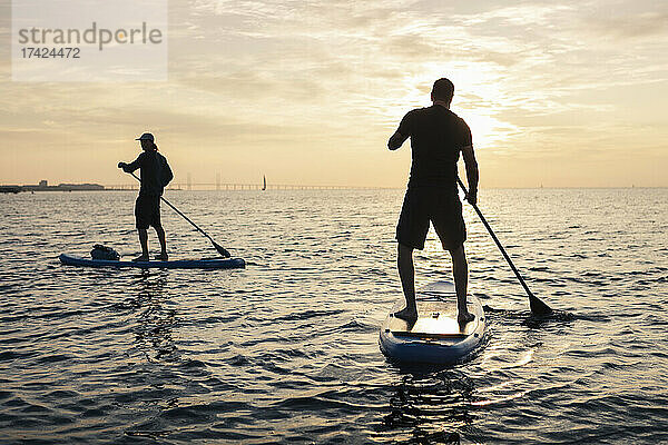 Männliche Freunde rudern Paddleboard im Meer