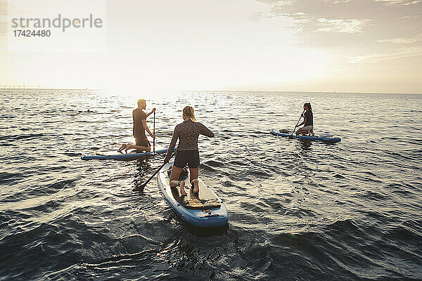 Weibliche und männliche Freunde rudern Paddleboard im Meer bei Sonnenuntergang