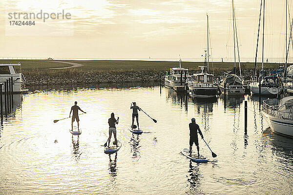 Rückansicht von weiblichen und männlichen Freunden Paddleboarding im Meer am Hafen bei Sonnenuntergang