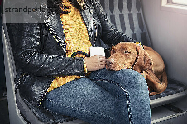 Hund lehnt auf dem Schoß der Besitzerin in der Seilbahn