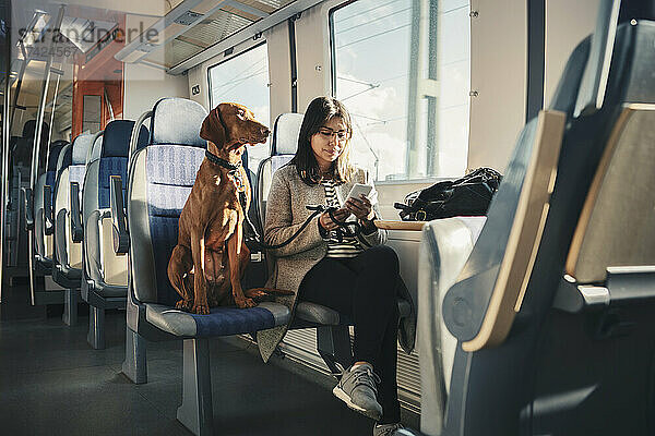 Junge weibliche Passagierin benutzt ein Mobiltelefon  während sie mit ihrem Hund im Zug unterwegs ist