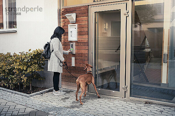 Frau gibt das Passwort ein  um die Tür zu öffnen  während sie mit ihrem Hund am Eingang der Wohnung steht