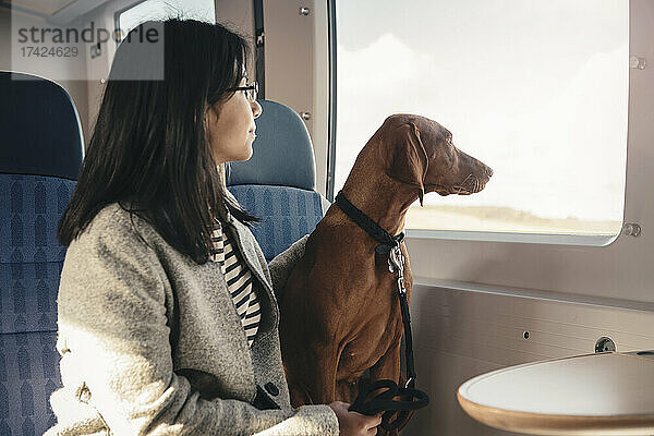 Seitenansicht einer jungen Frau und eines Hundes  die durch ein Fenster schauen  während sie im Zug reisen