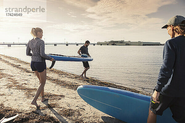Männliche und weibliche Freunde tragen Paddleboard am Strand