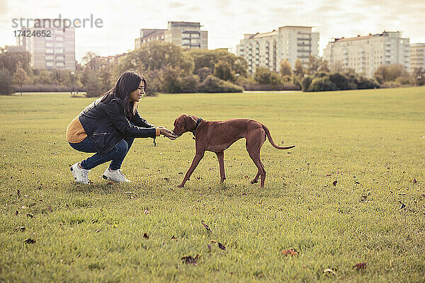 Lächelnde junge Frau füttert Hund auf Gras im Park