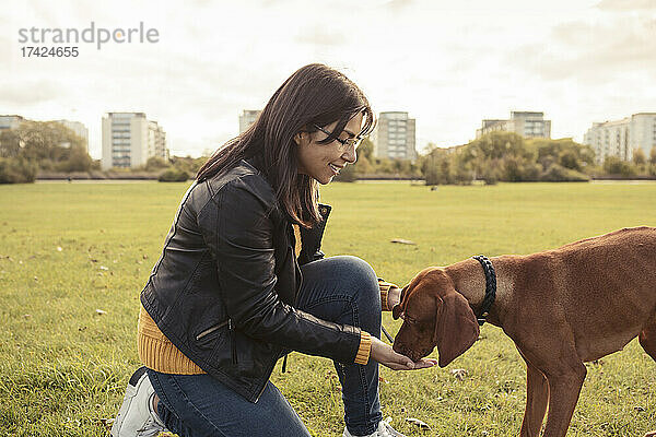 Seitenansicht einer lächelnden jungen Frau  die einen Hund in einem öffentlichen Park füttert