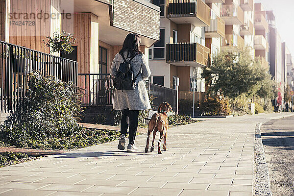 Rückansicht einer Frau  die mit ihrem Hund auf einem Fußweg in der Stadt spazieren geht