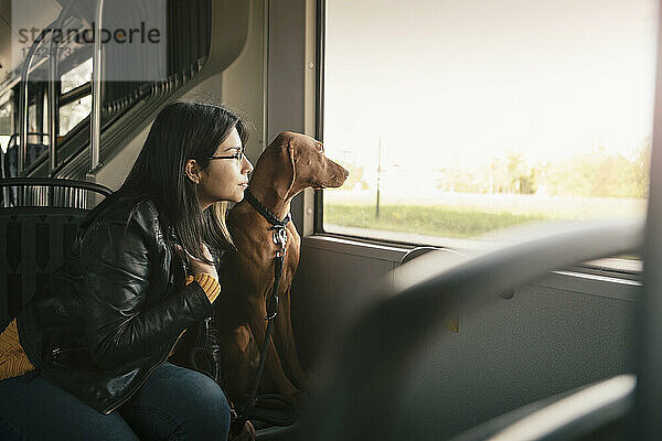 Junge Frau und Hund schauen durch das Fenster  während sie in einer Seilbahn sitzen