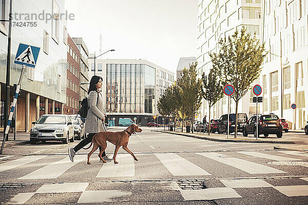 Junge Frau mit Rucksack überquert Straße mit Hund in der Stadt