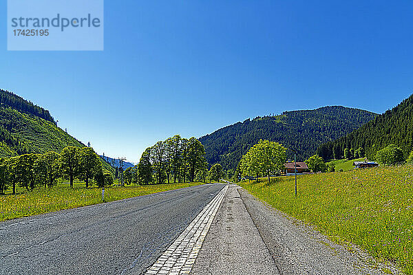 Landschaft  Wildblumenwiese