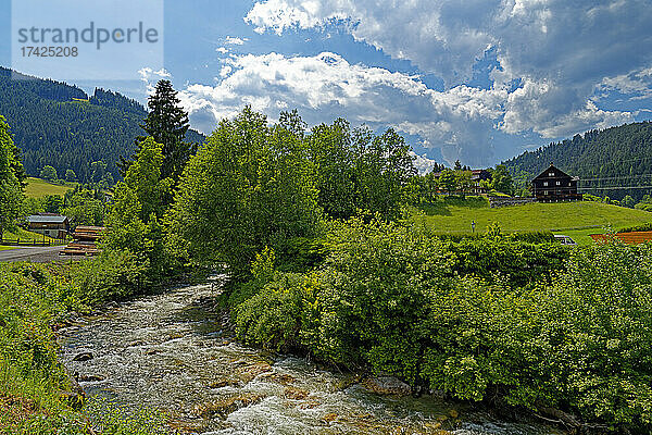 Landschaft  Fluß  Forstaubach